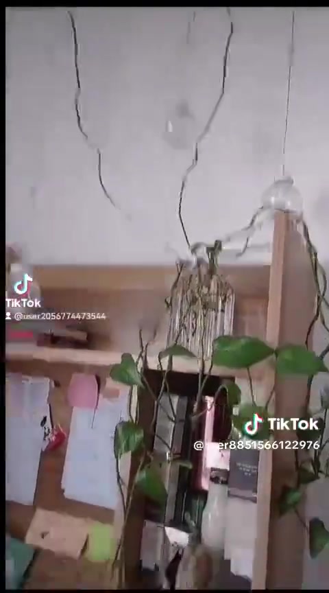 بكج تساقط الشعر
 من شركة ليدورا الايرانيه وكاله خاصة pmiln  لمواد التجميل  والعنايه ب✡️🔯 الشعر و البشره امنه طبيعيه تعتمد استخلاص للزيوت النباتية   التقنيه الفيتامينات  الاساسيه الأحماض الامينه


**إذا كنت صاحب هذا الإعلان وتريد حذفه لأي سبب، رجاءا أرسل رسالة إلى الدعم الفني**