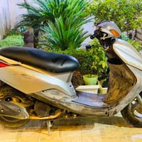 بريز ياباني • فحل • حله مركز المدينة