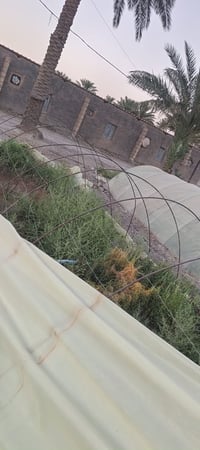وبركاته بيوت للبيع العدد ١٢ بيت عرض البيت ٣.٥٠ متر والطول ١٥ متر والار...
