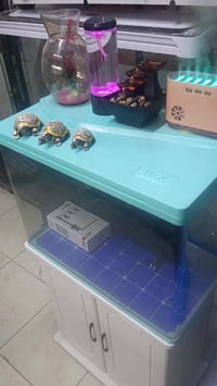 حوض سمك • ابو ميز