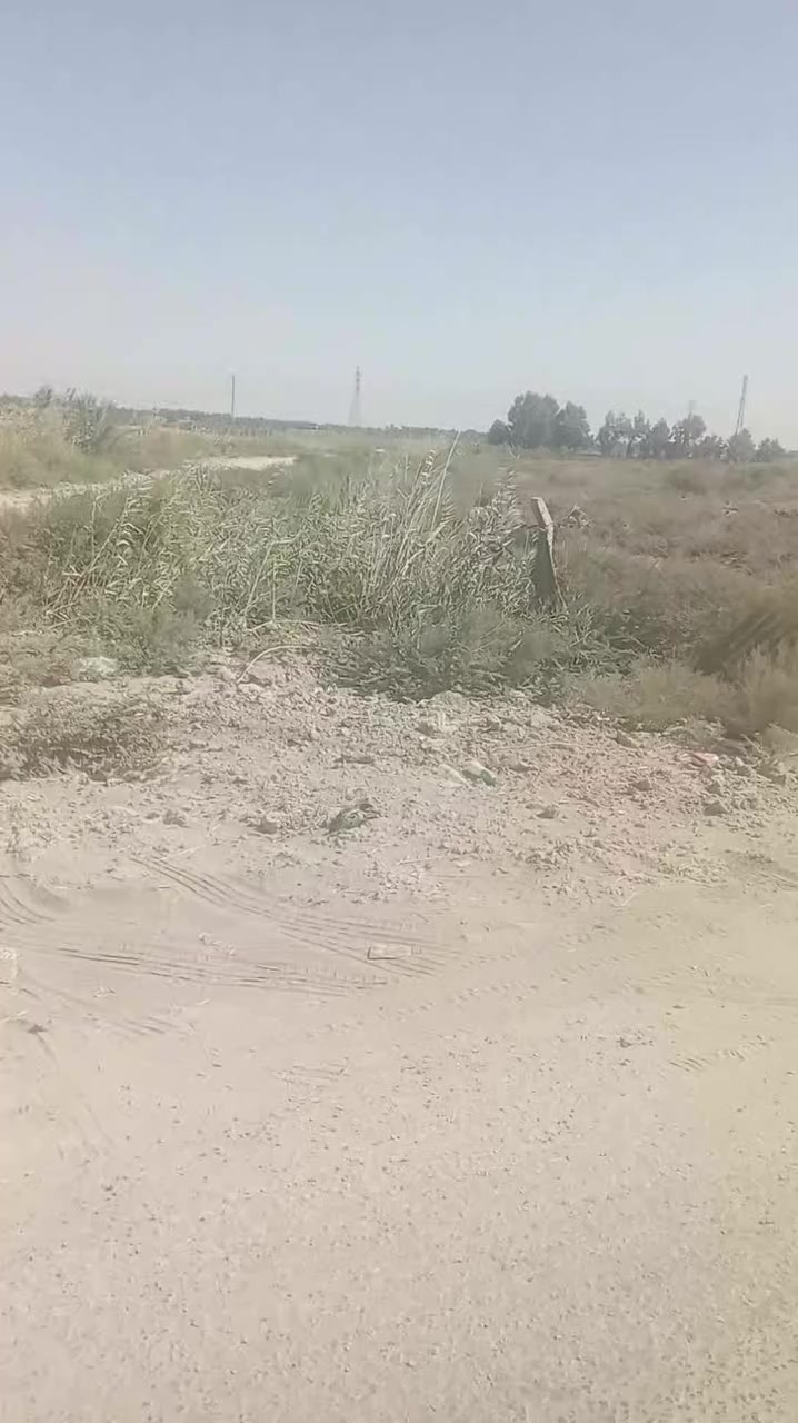 7 دونم سنتر الشارع  العام واجهت التبليط الفرعي مسيجه بي ارسي كهرباء وماي اساله بوجه الأرض  مفتوح بيان مداور مباشر باسم المشتري طابو زراعي سند 25 حله سيف سعد ورديه خارج علا شارعين سريع النيل بغداد وتنزل للارض مباشر علا الشارع تصلح معمل أو مشروع دواجن أو عجول أو مخازن أو جملونات غذائية سعر الدونم الواحد 83 اتصال ***********
