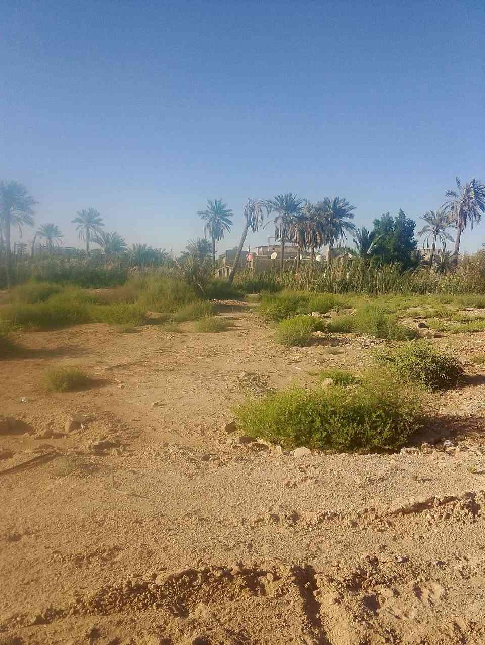 السلام عليكم يتوفر عندي قطع اراضي للبيع مساحه 200متر واكو 800متر طابو زراعي عراقي كل الخدمات متوفره العنوان ابو الخصيب حمدان يبعدن عن سايدين مال ابو الخصيب تقريبن كيلو ***********
