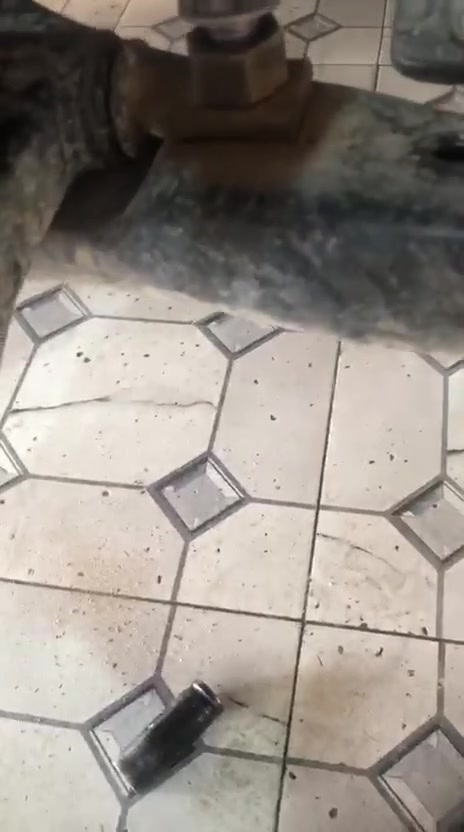 سلام عليكم اليوم اجتني هاي الكامري بيها طكه فاتح الطبله مالتها وعايفله البرغي مال الطبله مسحوك وشاده اريد اعرف ليش هاذه الشغل العوج ليش هاذه التلزيك يعني انته ماخفت الله لمن سويت هيج ادير بالي عله شغلي واحلل خبزتي وارضي رب العالمين وارضي ابو السياره شخصت وسويته ورجعت البرغي بلادي الحمدالله والشكر عله نعمتك اخوكم محمد الابغدادي خمسه كيلو مقابل بانزين خانه الاميلاد وكل الهله بيكم
محمد الحداد ***********
