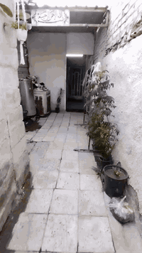 سلام عليكم يتوفر لدينا دار للبيع طابو زراعي سند 25 مساحه 70م طابق واحد يحتوي على غرفتين نوم واستقبال وطرمه وخدمات بيت بناء قديم
العنوان بغداد شهداء البياع خلف حسينه الحسن العسكري للاستفسار الاتصال على الرقم التالي*********** واتساب السعر مناسب جدا 36 وبي مجال
