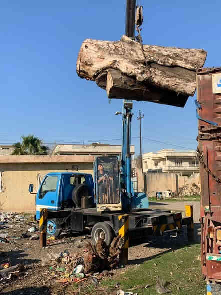 السلام عليكم كرين ازوزوه عصفورانشائيه بصره 4طن رقم الماني شرط التحويل 
السعر/180/ورقه$
 ***********
***********
