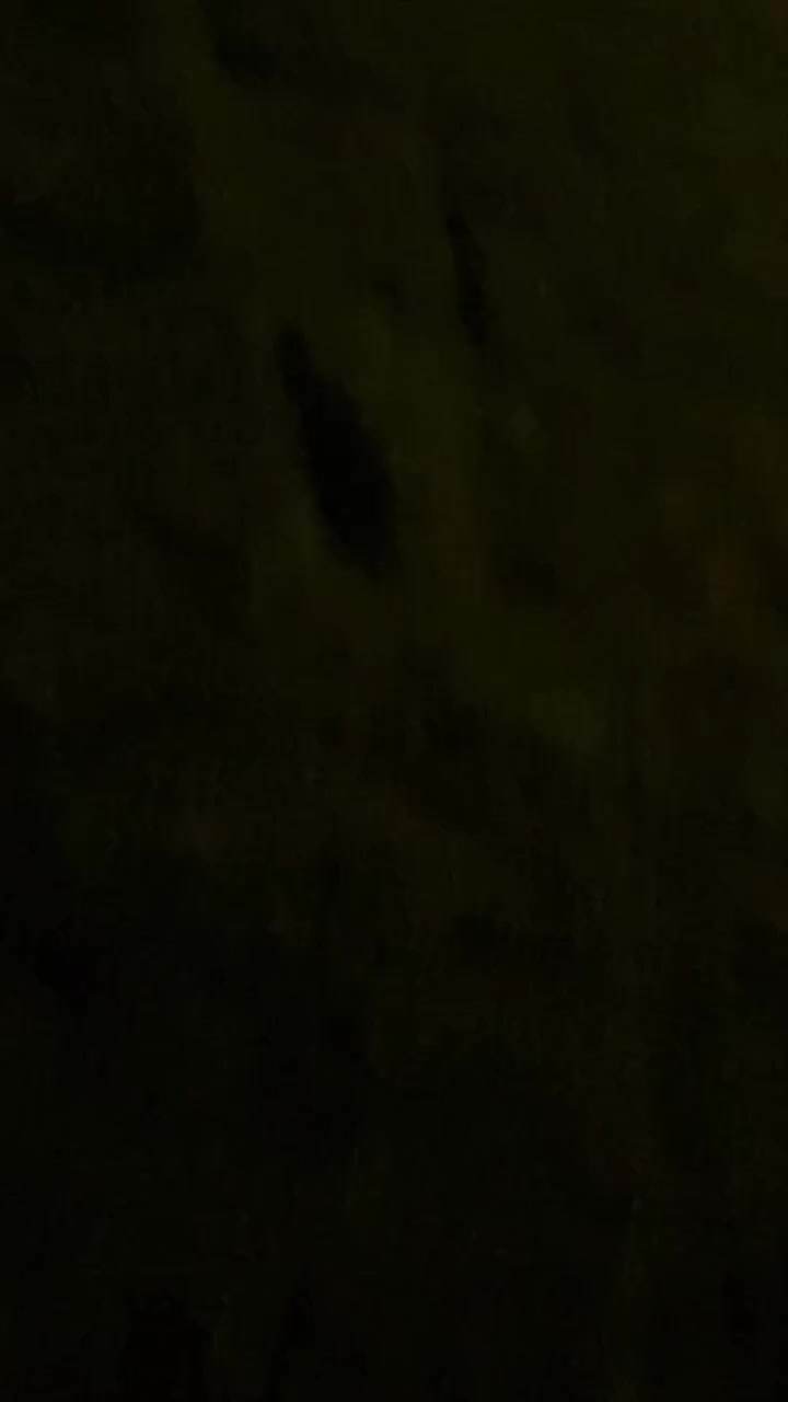 السلام عليكم  📍 بغداد ابو غريب 
يتوفر لدينا حجز مزرعه طيلة ايام الاسبوع 🌴
علماً ان مزرعه موثقه بتطبيق اجرلي
⭕️ يوجد لدينا نظام شفتات
-يبدا الشفت النهاري من الساعة 10 صباحا الى الساعه 6 مساءاً
-يبدا الشفت المسائي من الساعة 8 مساءاً الى الساعة 7 صباحاً
📍للحجز و الاستفسار يرجى الاتصال على الرقم التالي :
***********
