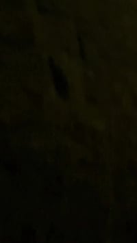 📍 بغداد ابو غريب  يتوفر لدينا حجز مزرعه طيلة ايام الاسبوع 🌴 علماً ان م...