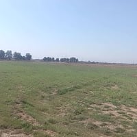 إسلام عليكم ارض استشمار اللبيع واجهة شارع العام  كاملة مكملة  سند 117م...