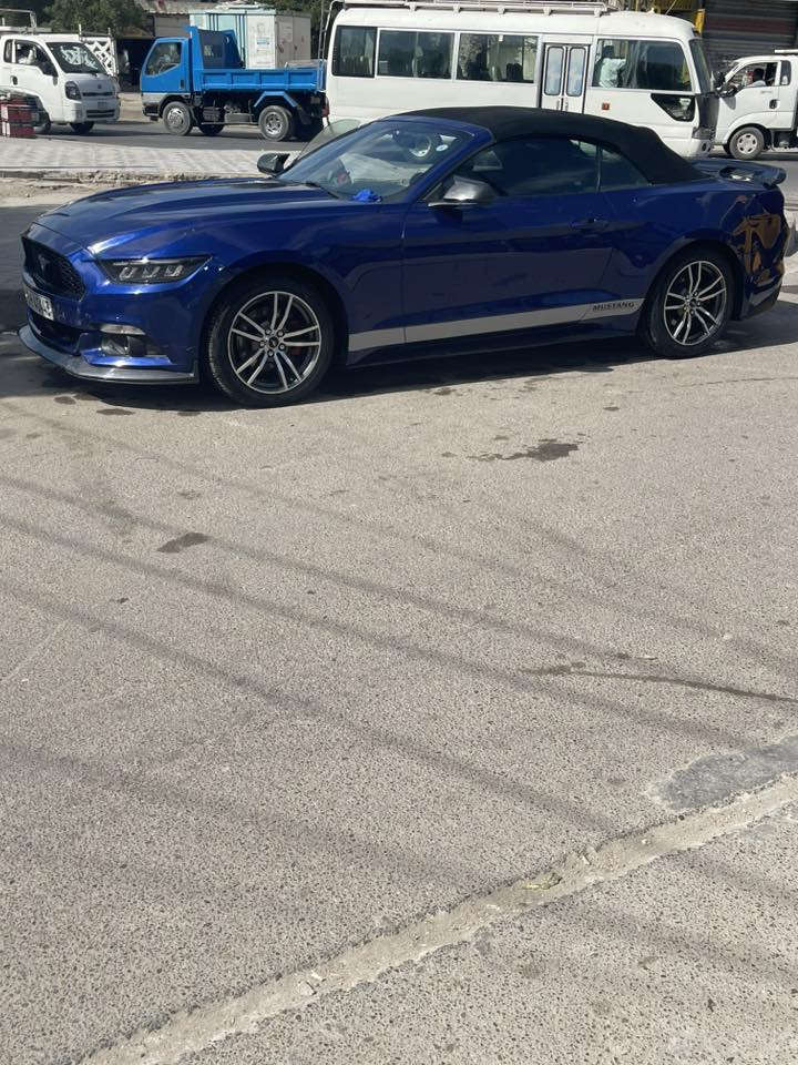 موستنك ايكو بست. لون مميز. 2016 للبيع او مراوس بسيارة اقل تبريد ثلج تخم تاير قبل سبوع شديته برغي مابيها نقص. فول مواصفات. كشنات تبريد جلد رادارات  حادث قبق جنطه نفسيته معمر صبغ جنطه ودعاميه رقم اربيل شرط تحويل. كشف جديد100/100 سياره جديده حته كتلوكات سياره. بيها بعدها.  مكاني بغداد   السعر 113 وبيها مجال. مستعجل لغرض البناء ***********
