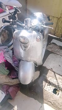 فينو • معقول • بي مجال