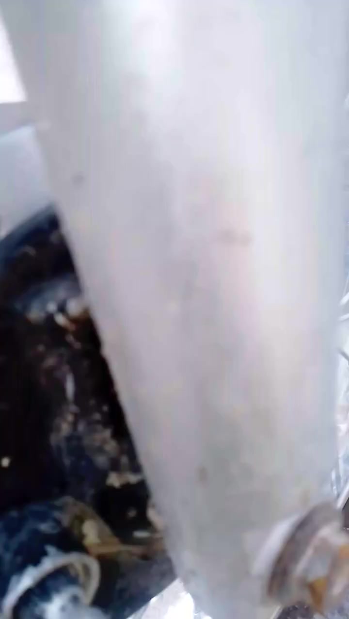 سلام عليكم خوان دراجه لبيع موديل 21 نامه تعمير جديد منعده لمحرك مستعمل كلك كلك مكاني  حي سلام شراي يجي خاص


**إذا كنت صاحب هذا الإعلان وتريد حذفه لأي سبب، رجاءا أرسل رسالة إلى الدعم الفني**