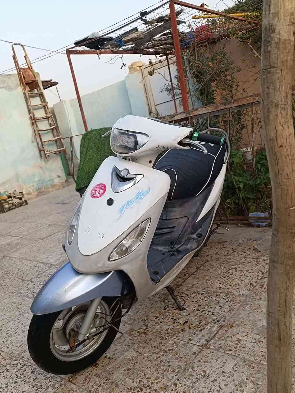 ماكس منغولي للبيع 
السعر 600 بيها مجال
المكان سماوه رميثه


**إذا كنت صاحب هذا الإعلان وتريد حذفه لأي سبب، رجاءا أرسل رسالة إلى الدعم الفني**