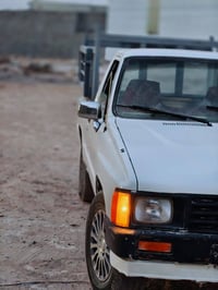 ٨٥ صلاح الدين • مصبوغ • الراعي موجود