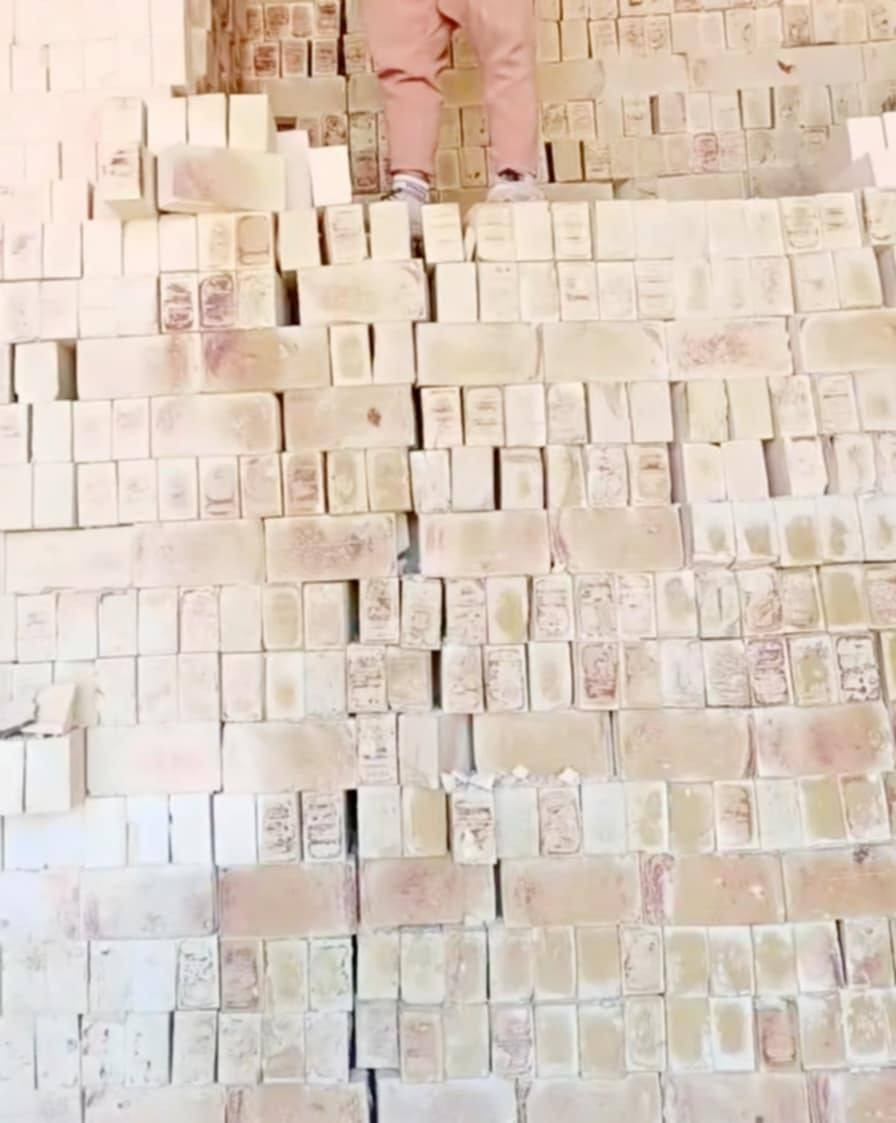 طابوك درجه أوله البيع معمل العماره شرط المكلاب عدد ٤الف وزياده ٣٠٠ متواجدين في كل وقت تصل ودلل *********** أو واتساب
