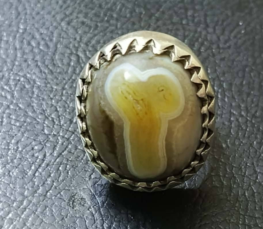 سليماني قديم مصور البيع مكلف بل نشر ***********
