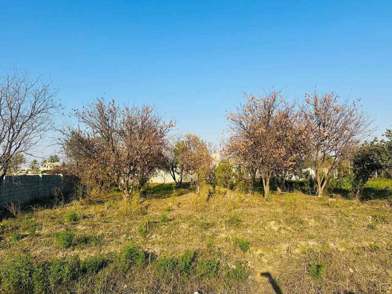 السلام عليكم 
قطعه ارض +هيكل للبيع (عل طريق الصخيل )
المساحه :2450 م
للاراغبين بل شراء الاتصال عل الارقام التاليه :
او زياره مكتب الصالح للعقار
***********
‭0785 737 1712‬
***********
