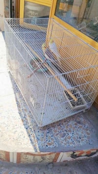 قفص كبير • حجم ٧٥ • ناصريه بالمدينه