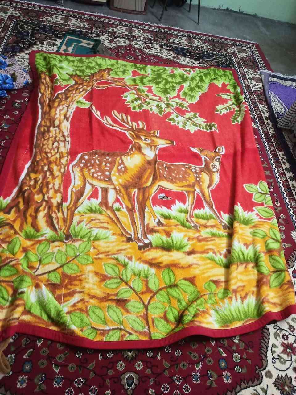 للبيع بطنيات ودواشك صوف مسخدمات سعر عل خاص مكاني كركوك حي نصر للاستفسار ***********
