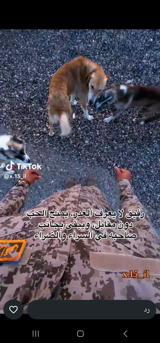 ***********  جديدة جدآ
توكسان 2020 شركة الكاصد خليجي
 محرك 2000 دوش
 فول مواصفات ماعدا الفتحة / بصمة / كشنات الامامية 2 كهرباء / 
مري شفط / حساسات امامي خلفي 
 لايت 5 عدسات /كشنات جلد /
 دشبول صاج بلادي / 
شاحن واير ليس  
ترحيب  
لد خلفي 
تبريد امامي خلفي 
صدر امامي خلفي جديد 
تخم تاير وباتري  جديد 
وسيارة جديدة وجاهزه مابيها اي نقص
 ماشيه 73 ألف سيارة عله ايد وحده من جانت زيرو / صار بيها طخه بسيطة بين البابين بدون دواخل  وبدلتهن اصليات بدون صبغ حته بالسونار متبين لان اصليات شديتهن
 باقي سيارة مكفولة 
مكاني بغداد الاعظمية
 السعر 178 ورقة
اتصال فقط 
 ***********
