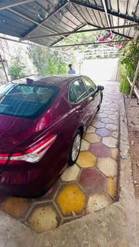 كامري LE • ٢٠١٩ • رقم صلاح الدين