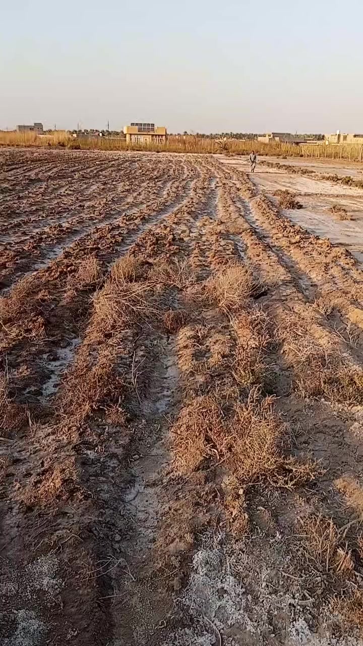 يالله السلام عليكم دونم له ربع البيع عقد 17 المكان كربلاء الحسنيه تبعد  عن الشارع العام 500 متر   كهرباء مي كله قريب عليهه مدرسه متوسطه وبتدائيه   السعر 38 وبيهه مجال  ***********  بي وتساب واني بل خدمه
