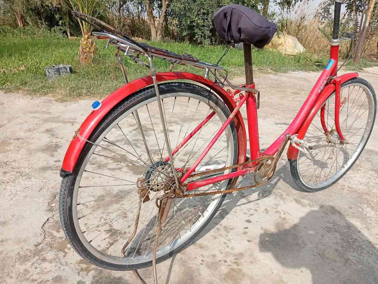 سلام عليكم بايسكل
لبيع سفسار خاص


**إذا كنت صاحب هذا الإعلان وتريد حذفه لأي سبب، رجاءا أرسل رسالة إلى الدعم الفني**