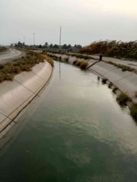 التاجي الشيخ عامر الخيرت • ٨ دونم • مي وكهرباء