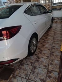 ألنترا ٢٠١٩ • وارد أمريكي • ماشيه ١٣٢