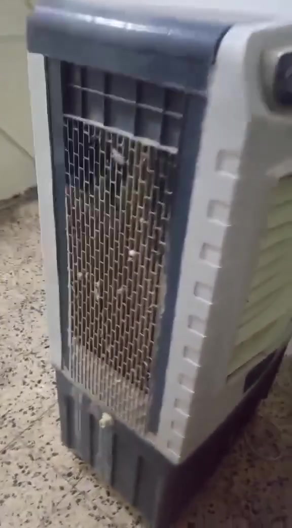 اسلام عليكم مبرده كونفيره للبيع نضيف مراسله خاص


**إذا كنت صاحب هذا الإعلان وتريد حذفه لأي سبب، رجاءا أرسل رسالة إلى الدعم الفني**
