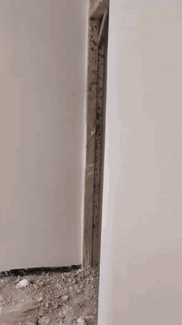 سلام عليكم الحمدلله على رزق الحلال
كادر لبخ جص شغل ع المساطر من الموصل  الأن البيت يطول 3إيام المبيت ابنفس البيت النشتغلو التزام بالموعد وأتقان بالعمل والي يريد شغل مرتب وتلف ماكو  والي يريد ايشوف شغلي في #الشرقاط اني حاضر مجموعة تتكون من5 اسطوات و5 عماله نفرات هاذا جزء من عملي حالين متفرق ومن الله التوفيق للجميع  😊الخاص مفتوح😊تحياتي للجميع😊الاتصال(***********)(***********)
