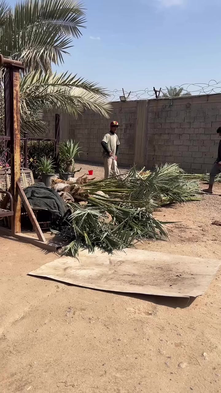 ***********  ***********
