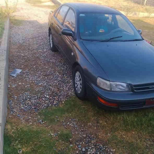 السلام عليكم سياره كرونه فرخ بطه للبيع موديل 1993 محرك كير شرط صدر نضيف تايرات جديد رقم كركوك شرط التحويل و الاضباره بيها صبغ احزام جماليه سعر  37
***********
