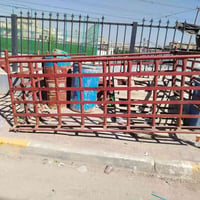 محجر كيه حمل للبيع السعر 300 وبي مجال  مكاني بغداد ام الكبر ولغزلان ال...