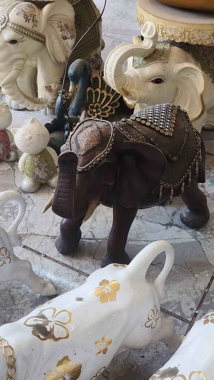 سلام عليكم  
تحفيات جدد 
توصيل مجاني 
يدخل خاص 
الشراي او ينتصل *********** بغداد, العراق
