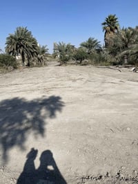 أرض للإيجار • المعقل • مساحة جبيرة