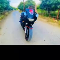 بطح قرش • ٤٠٠