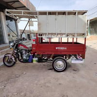 ستوته • ٢٠٢٢ • كفاله عام