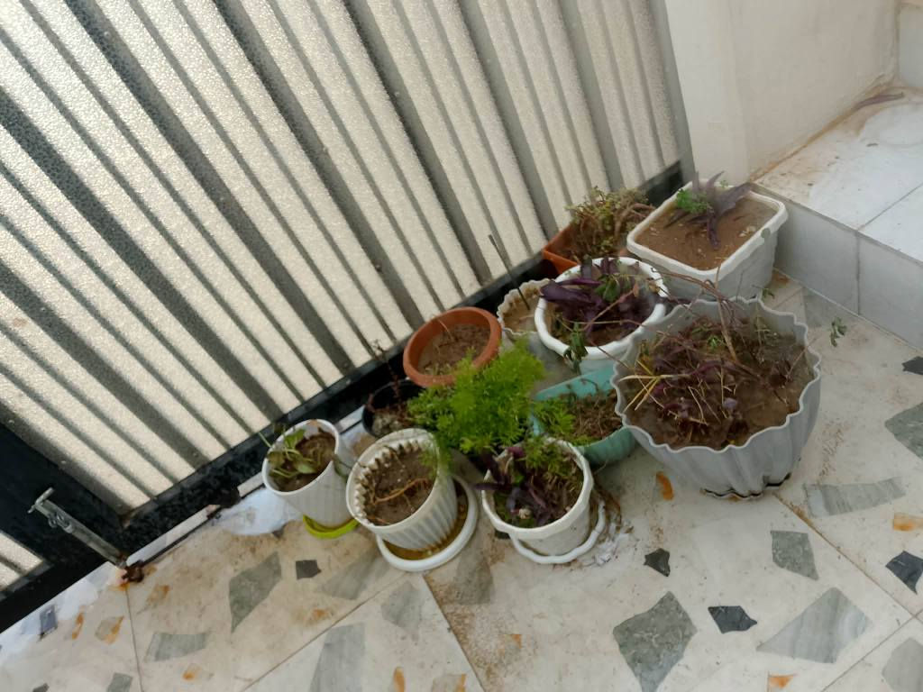 غراض بيت للبيع شراي يتصل اويدخل خاص *********** كركوك, العراق
