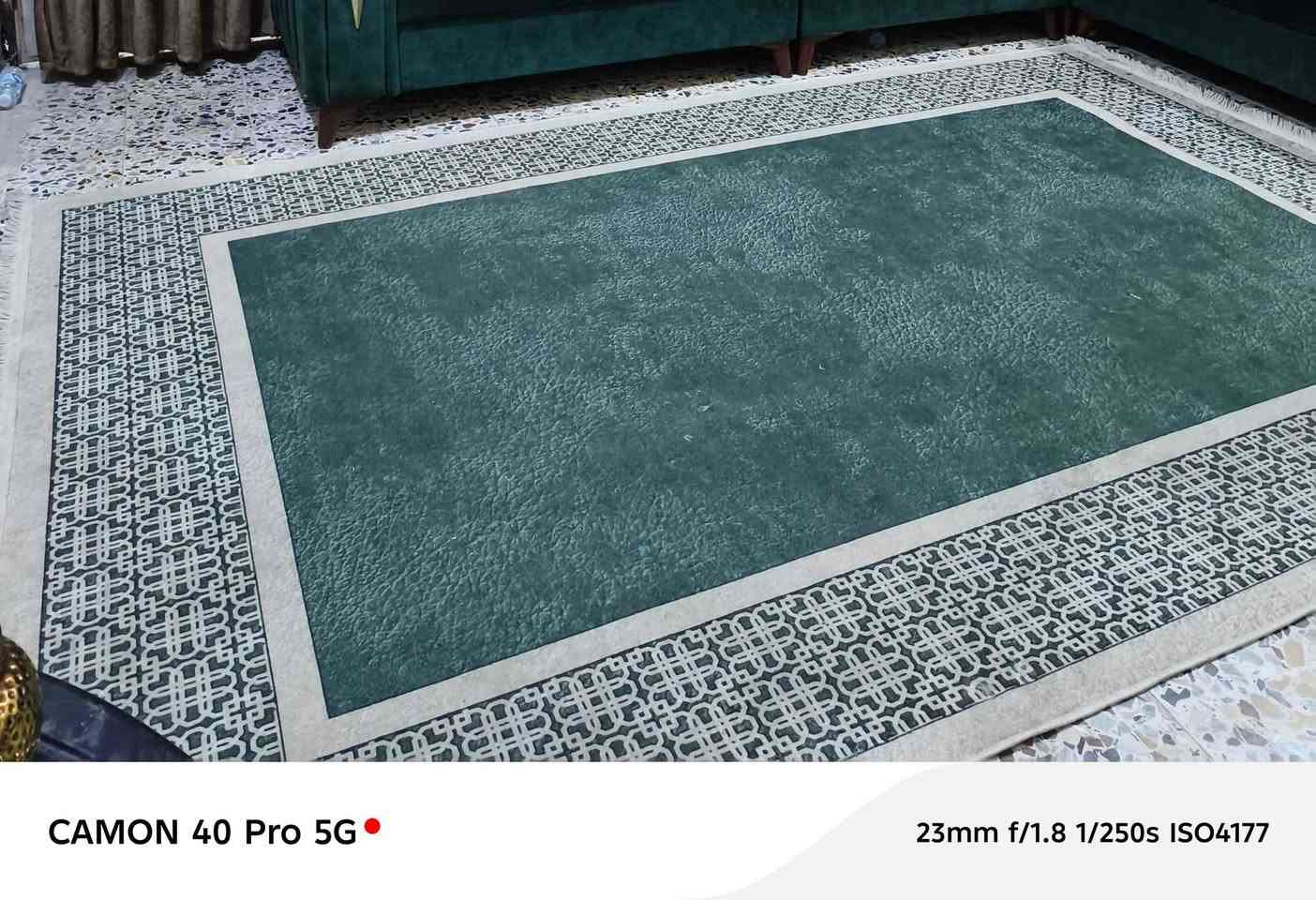 كلمن وسعره بغداد, العراق


**إذا كنت صاحب هذا الإعلان وتريد حذفه لأي سبب، رجاءا أرسل رسالة إلى الدعم الفني**