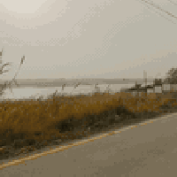 4 دونم طابو زراعي سند25 بيه حسب طلب موقع مميز وراقي كلة مزارع خدمات كا...