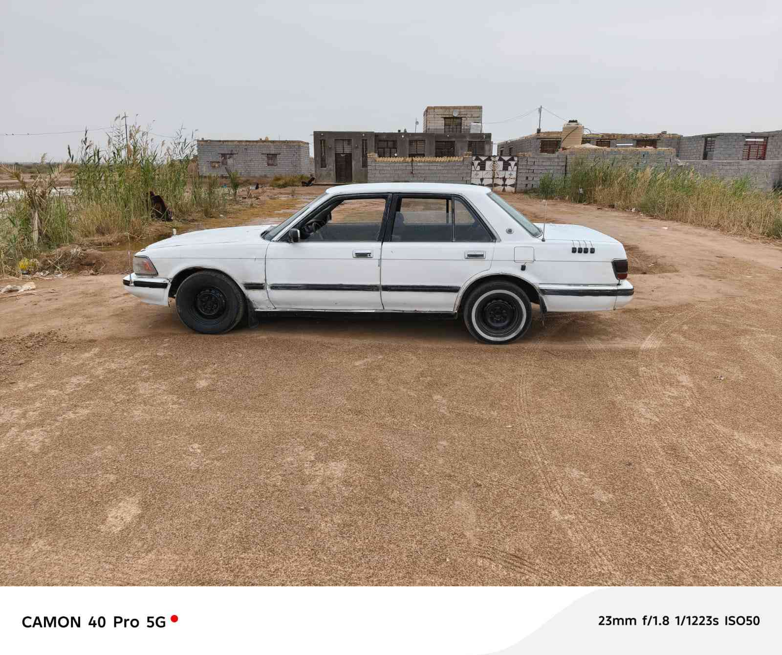 سيدان مديل 92 مكفوله رقم ميسان سنويه لل 28 مشروع وطني مكينه وكير فيفيتي شرط كارتون حداديه نضيفه تخم تاير جديد كهربايات من طول للطول شغاله دواخل كلش حلوه سياره جاهزه مال جناي السعر 33 وبيه مجال او مراوس مكاني شطره للستفسار ‏‪***********‬‏
