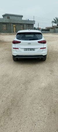 توكسان • ٢٠١٩ • الفلوجه