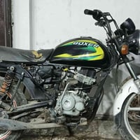 بوكسر كلاسك • موديل 22 • بلا اوراق