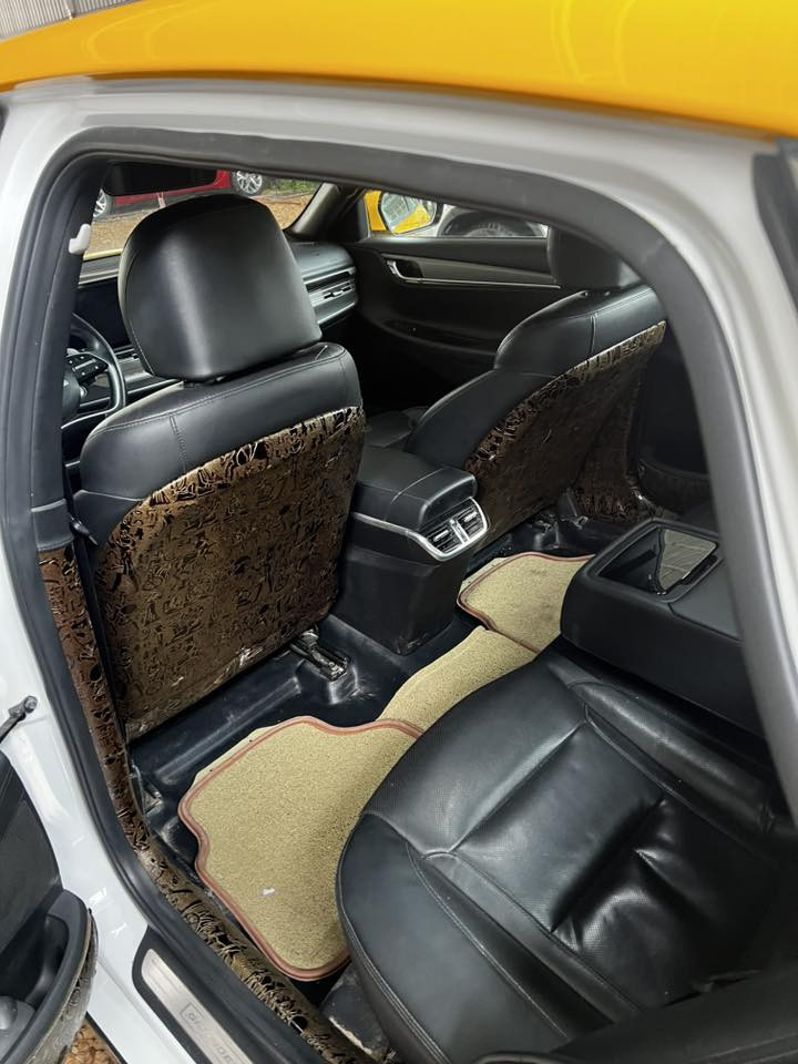 ازيره غاز بلادي 2023 الرقم قادسيه مكان بابل الشوملي معرض سيد مهدي الشرفي  ***********
