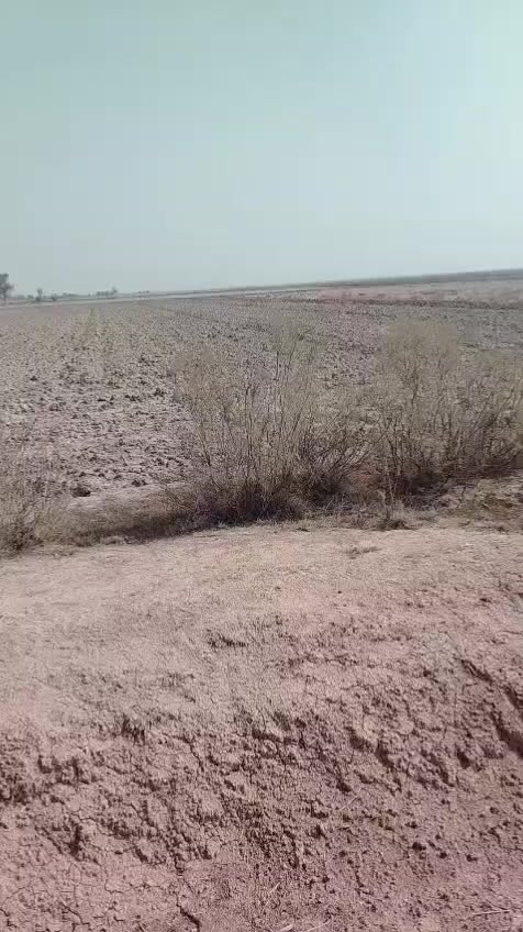 4 دوانم ملك صرف سند مستقل منفصل
سعر الدونم الواحد 20 مليون قفل جاهزات
على نهر الصب جاهزه من ماء اساله وسقي 
وكهرباء فوكاهه وقريبه عل سكن العنوان 
تاجي ذراع دجله مقابيل مدينة سبع البور 
بمنطقة الشيخ عامر تبعد عن السوك 10
دقايق فتح بيان ثاني يوم بأسمك للاستفسار 
واتساب متوفر بلرقم ***********
