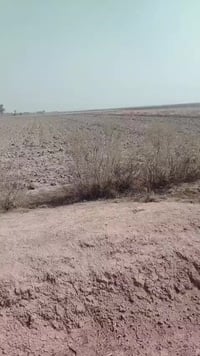 4 دوانم ملك صرف سند مستقل منفصل سعر الدونم الواحد 20 مليون قفل جاهزات ...