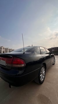 فاسوليا • ١٩٩٢ • أربيل