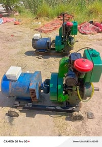 07819495720
