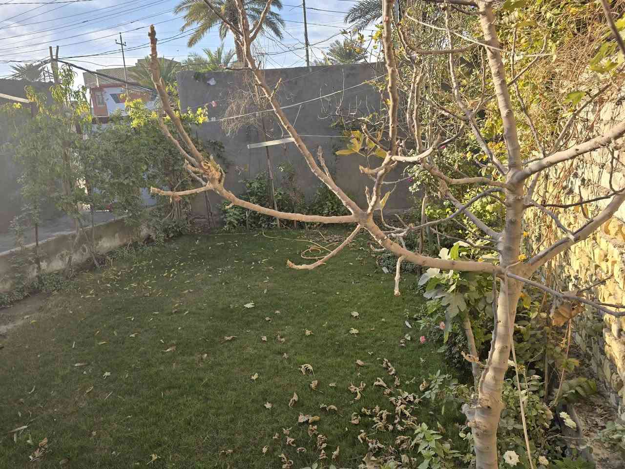 هيكل للبيع  اساس جلمود وسبيس ورفت وطابوك درجه اوله مرقم مشمول بلطتويب وخدمات فول  مساحته 250 شارع المعمل  مقابيل مجمع المختار يبعد ١٠٠ عن شارع العام 
*********** واتساب
