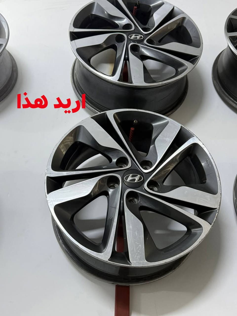 تخم ويل عادي حجم 15/65/195
اريد مراوس بهذا حجم 17
*********** مكاني بابل
